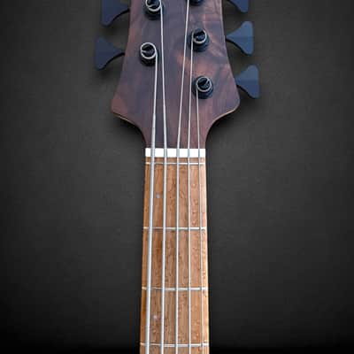 Elrick EVO Gold 5 String Figured Walnut 2025 - Natural image 5