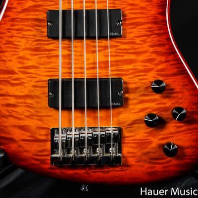 Warmoth 5-String Fretless Bass Sunburst image 2