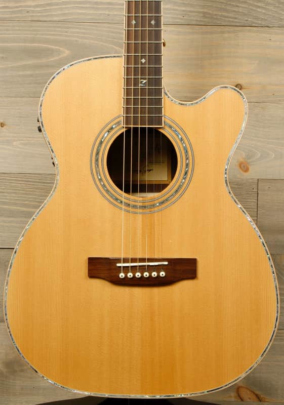 Zager ZAD900ce OM (USED) image 1