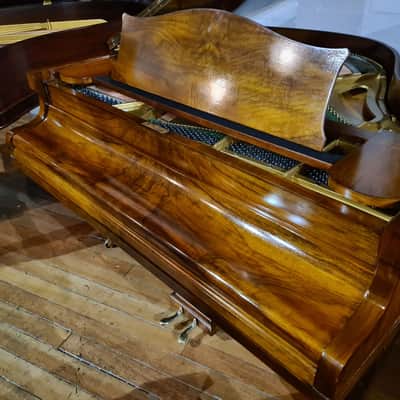 Restored Bechstein London Baby Grand Piano Walnut SP25940 - Sherwood Phoenix Pianos image 6