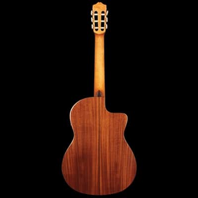 Cordoba Iberia C5-CE Left-Handed Electro Nylon Guitar - Solid Top image 2