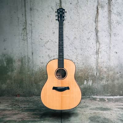 Taylor Builder's Edition 717e (V-Class Bracing) - MINT image 1