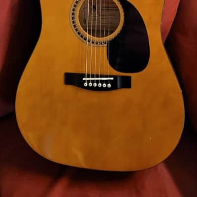 Palmer PD206 LB Dreadnought Acoustic Guitar image 1