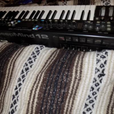 Behringer DeepMind 12 49-Key 12-Voice Polyphonic Analog Synth 2016 - Present - Black image 1
