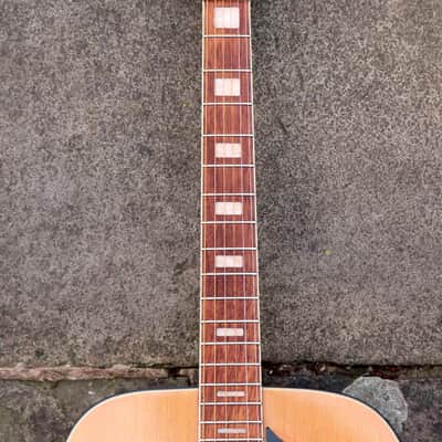 ♫ Vintage + Super Cool Top Line Eko (Rare Blondy!) c.1974 Pro Refurb♫ image 6