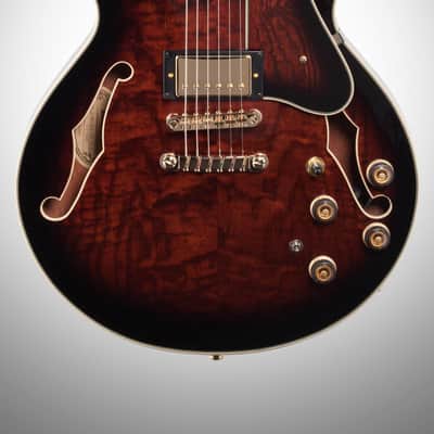 Ibanez Artstar AM153QA Semi-Hollowbody Electric Guitar (with Case), Dark Brown Sunburst image 3
