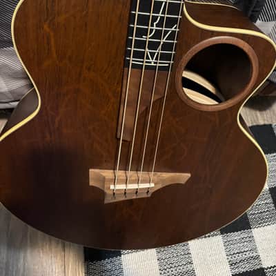 Taylor AB-2 2002 Imbuia (Brazilian Walnut) top, back and sides image 3