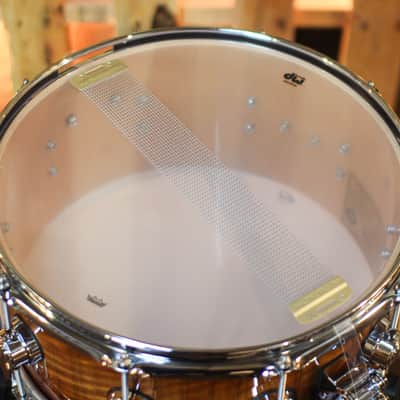 DW 6.5x14 Collector's Maple 333 Almond Burst over Nyatoh Snare Drum - SO#1444620 image 5