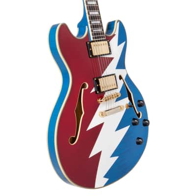 D'Angelico Limited Edition Premier Grateful Dead DC Semi-Hollow Electric Guitar image 5