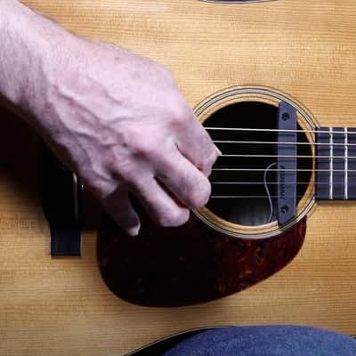 Fishman Rare Earth Mic Blend imagen 3
