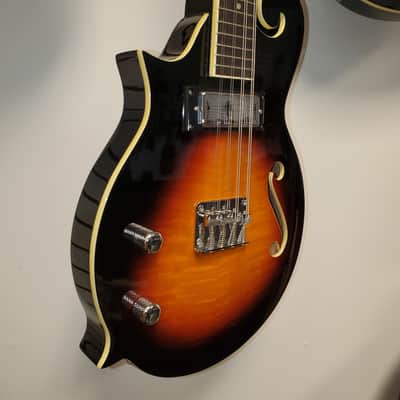 Eastwood Matched Set - Electric Left Hand "the Cosey" Mandola and "MDG" Mandolin - Sunburst image 2