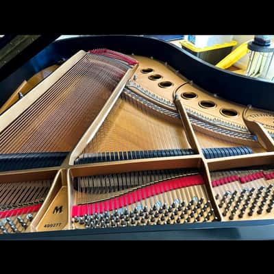 Steinway & Sons Model M Grand Piano – One Owner | Like New image 5