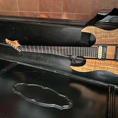 B.C. Rich Exotic Classic DLX Assassin 2010s - Natural image 4