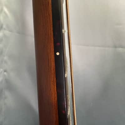 Breedlove Pursuit Exotic S Concert 2022 - Tiger’s Eye image 10