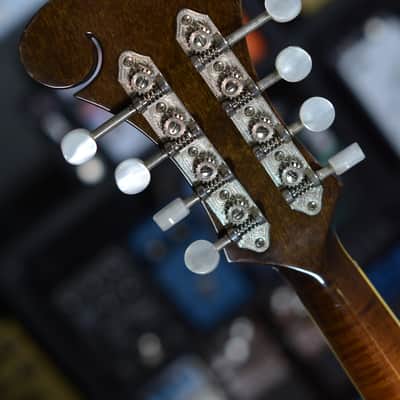 Lebeda F4 Standard Mandolin 2004 image 7