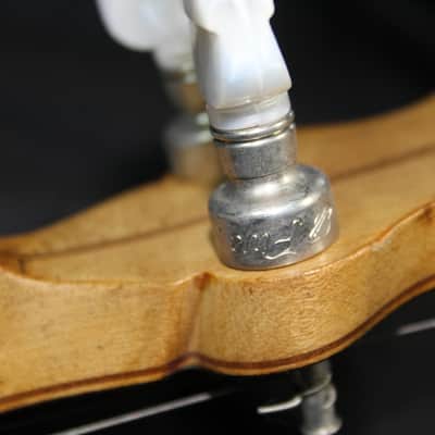 DeWick "Ideal" Tenor Banjo c1920 Very Rare! w/OHSC image 15