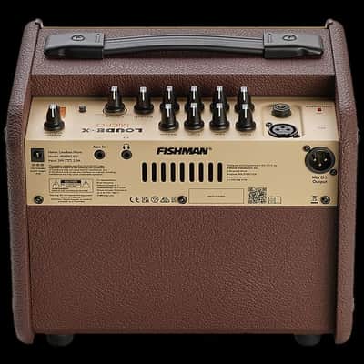 Fishman Loudbox Micro 40-watt 1 x 5.25-inch Acoustic Combo Amp image 3