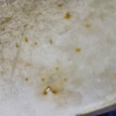 *Ludwig 14" Calf Skin Snare Drum Batter Head Vintage 20s USA Tom Calfskin* image 3