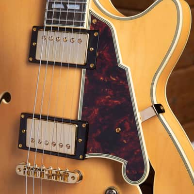 D'Angelico DADSSSHNGT DELUXE SS Single Cutaway Semi-Hollow Body 6-String Electric Guitar w/Deluxe Hardshell Case image 8