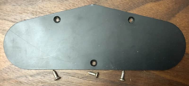 2008 Epiphone Les Paul Special II Control Cavity Cover With Screws image 1