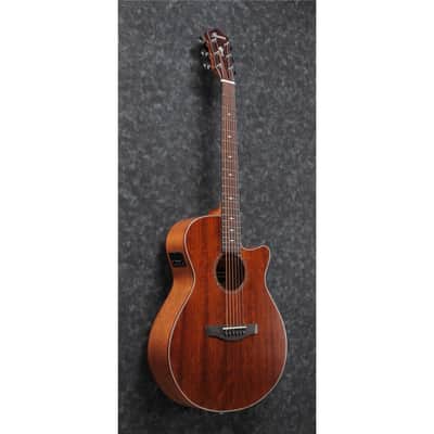 Ibanez AEG220 AEG Series Single-Cutaway Acoustic Electric Guitar, Natural Low Gloss image 3