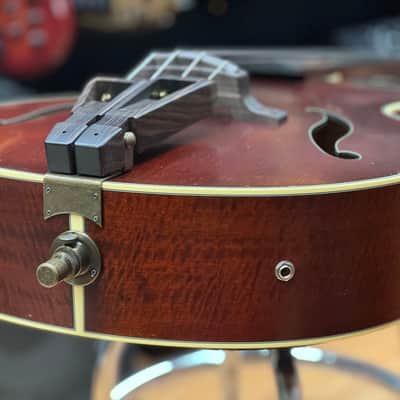 Takamine DB-10 image 18