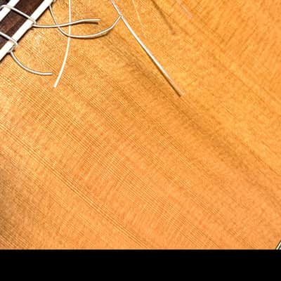 Miguel Acevedes Hand Made Classical Guitar image 3