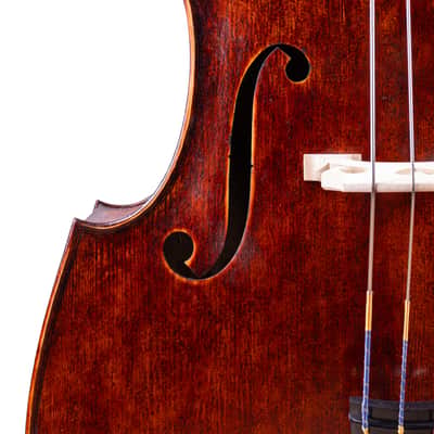 Gamba Doublebass 1/2 Hand-Made in Europe #12 image 3