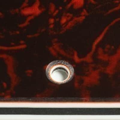 Custom Backplate For 2018 - Present Made in Taiwan Yamaha Pacifica 112J - Faux Tortoise Shell/White/Black/White .090" image 2