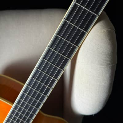 Kiso Ribbecke Archtop 17" image 14