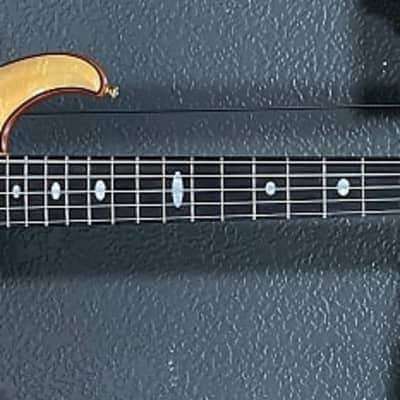 2007 Alembic Custom Europa 5 String bass image 8