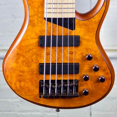 MTD Kingston Z6 - Satin Amber (B-Stock) image 1