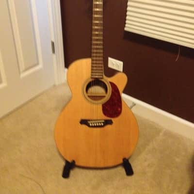 Takamine EGS-430SC 1999 Acoustic/Electric Cutaway (made in Taiwan) image 1