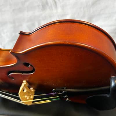 SofiaMari 310E 16 Viola image 19