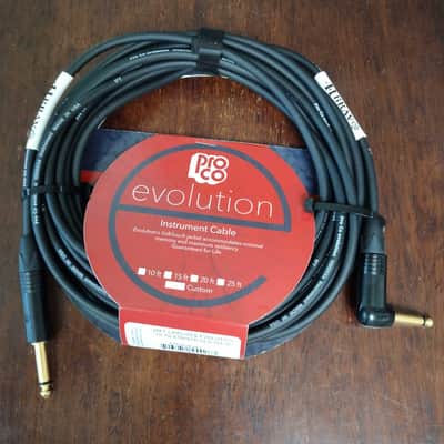 Instrument Cable 25-foot ProCo EVLGCLN-25 ANG-STR image 2