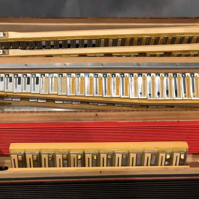 Victoria Poeta Marocca accordion image 8