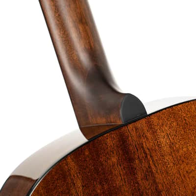 Cort L60NAT Luce Series Solid Spruce Top OM Body Mahogany Neck 6-String Acoustic Guitar image 6