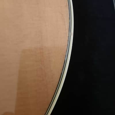 Washburn NV300 USA Custom Shop A/E Guitar image 10