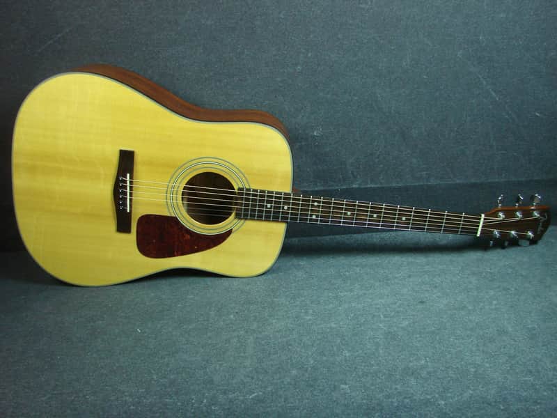 Fender DG-20S Dreadnought Acoustic Guitar W/Case DG20S | Reverb