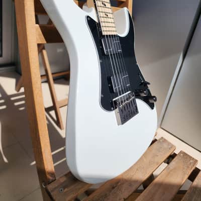 Caparison Dellinger-JSM Joel Stroetzel`21 image 7