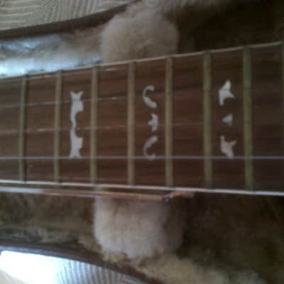 Framus Derroll Adams M-Line 5 string banjo 1976 Natural image 9