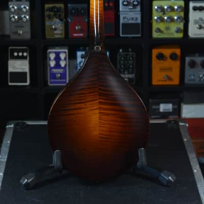 Collings MT Mandolin Left Handed 2014 - Sunburst image 17