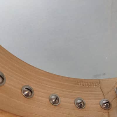 1931 B&D Senorita 19-Fret Tenor Banjo - Planetary Tuners & Hard Case image 14