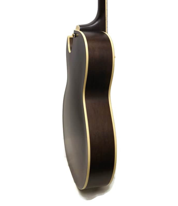 Epiphone ES-295 Premium Limited Edition Hollowbody Electric Guitar