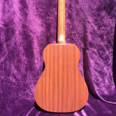2012 Martin LXM image 2