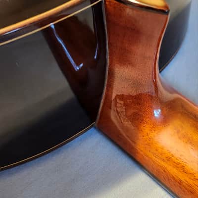 Dauphin DS35 1993 - Made in Spain - Excellent! Molded Hard Case Natural image 12