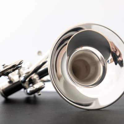 Yamaha YTR-6810S Bb/A Piccolo Trumpet (SN D969xx) image 11