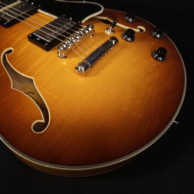 Eastman T484 Gold Burst Finish Flame Maple Thinline Guitar, Hard Case image 11