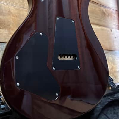 PRS DGT Moons Semi-Hollow McCarty Tobacco Burst w/case image 13