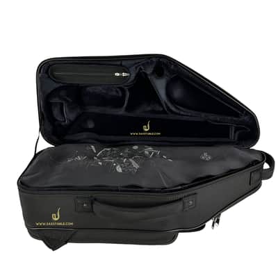 Selmer Paris Signature 82SIG Gold Lacquer Alto Saxophone READY TO SHIP! image 3